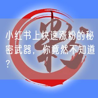 小红书上快速涨粉的秘密武器，你竟然不知道？